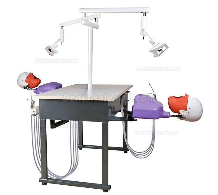 Jingle A4 Dental Double Teaching Manual Control Phantom Dental Simulation Unit